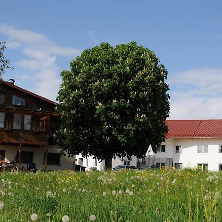 Ferienhof Hopfgaertle Mueller Bodnegg المظهر الخارجي الصورة