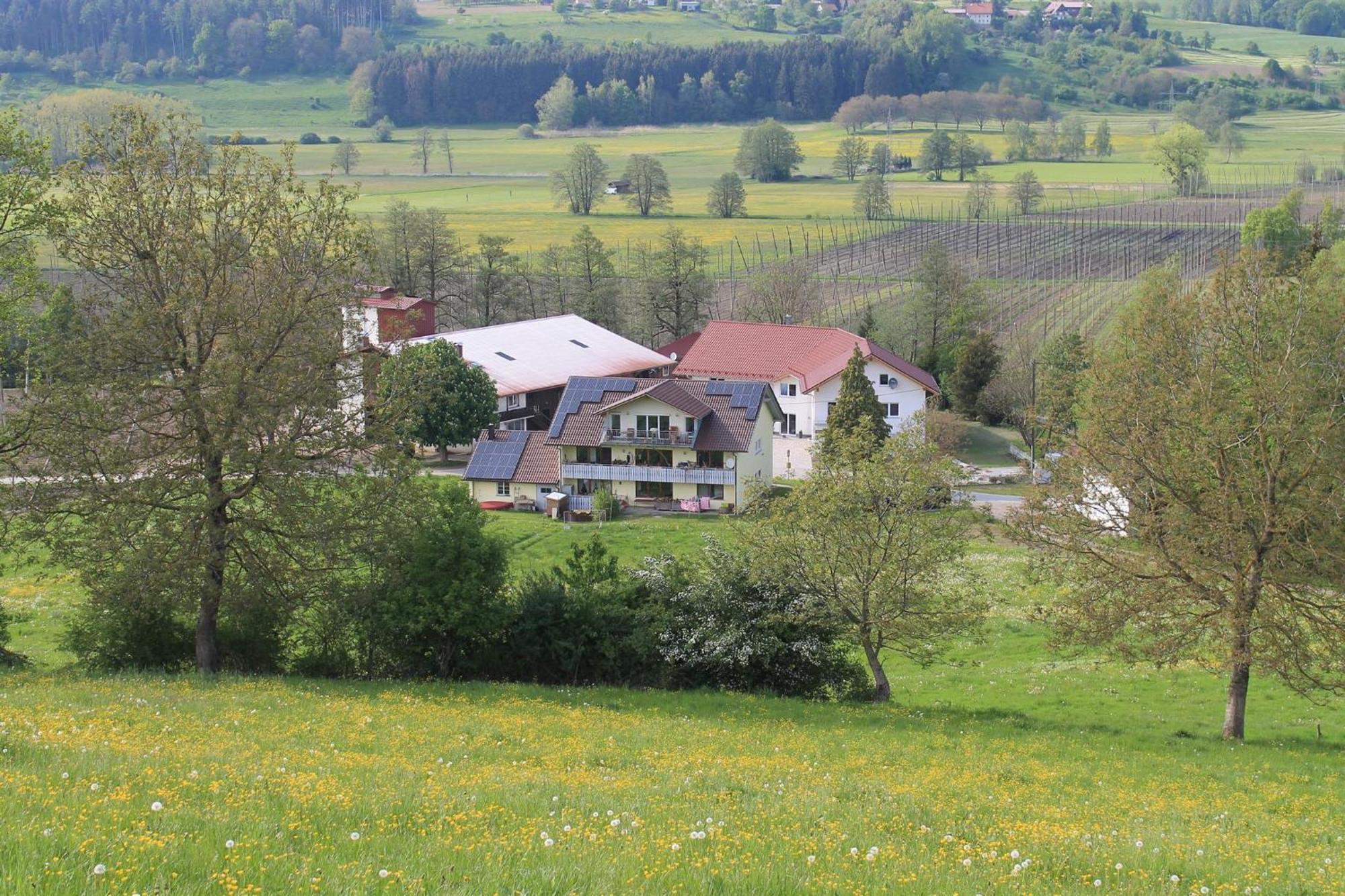 Ferienhof Hopfgaertle Mueller Bodnegg المظهر الخارجي الصورة